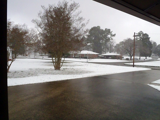 Christmas Photo in Sheffield