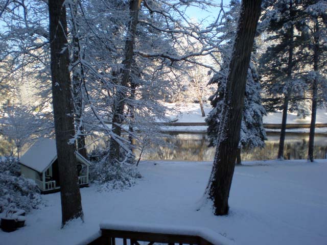 Our back yard before we left Spartanburg.