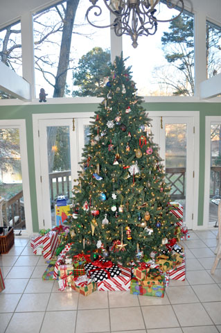 Spartanburg Christmas picture