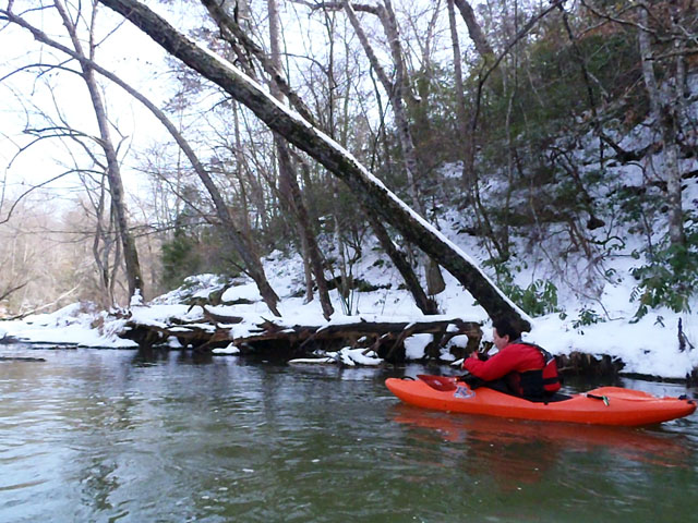 Tyger River whitewater photo
