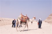1223__Luxor_a