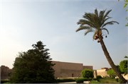 1862_Cairo__B
