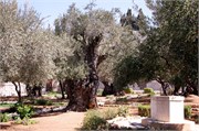 2117_JerusalemA