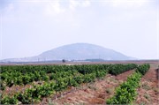 2381_Galilee_A
