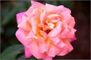 2403_Galilee_A
