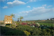 3252_Galilee_B