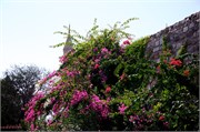 4065_Bodrum_A