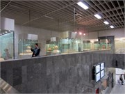 4644_Athens_C