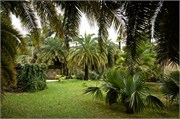 7393_Sochi_B