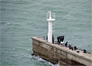 7640_Novorossiysk_A