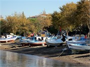 8801_Dikili_C