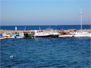 8822_Dikili_C