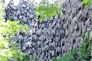 05312011_Prague_a106