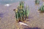 05312011_Prague_a86
