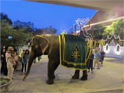17206_Bangkok_C