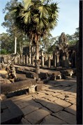 16641_Angkor_ThomB