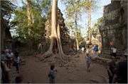 16692_Angkor_ThomB