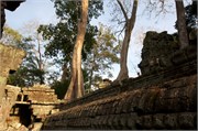 16710_Angkor_ThomB