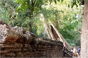 16896_Angkor_ThomA