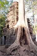 16901_Angkor_ThomA