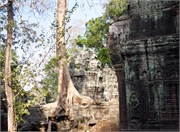 16904_Angkor_ThomA