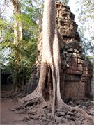 16907_Angkor_ThomA