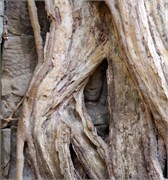 16932_Angkor_ThomA