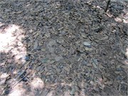 20636_CuChi