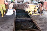 19502_FishFarmA