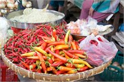 20285_SadecMarketA