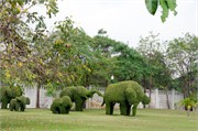16138_ThailandA