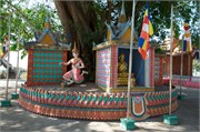 17427_WatHancheyA