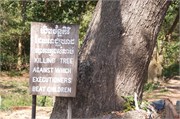 18623_KillingFieldsA