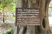 18625_KillingFieldsA