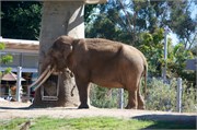 SanDiego_12