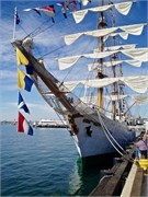 SanDiego_49