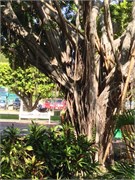 Huatulco_10