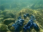 Huatulco_39
