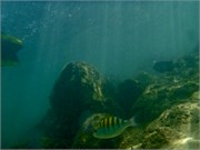 Huatulco_40
