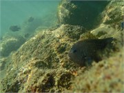 Huatulco_41