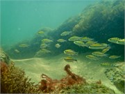 Huatulco_42