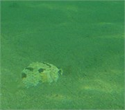 Huatulco_43