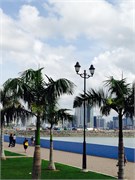 Panama_30