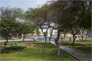 Trujillo__20