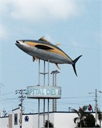 Ecuador_11