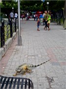 Ecuador_26