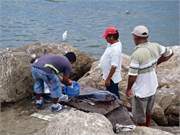 Ecuador_32
