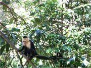 CostaRica3_1