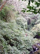 CostaRica3_3