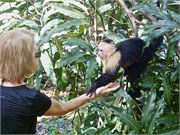 CostaRica_1